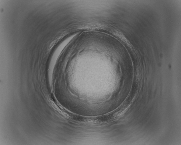 X0000061110585200512161416