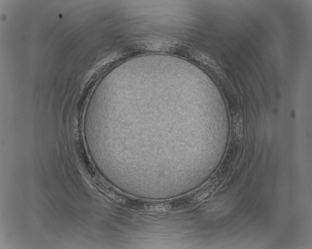 X0000061110587200512161416
