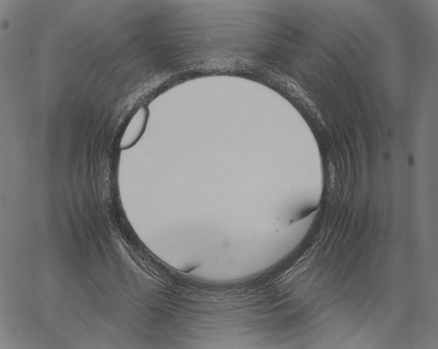 X0000061110588200512161416