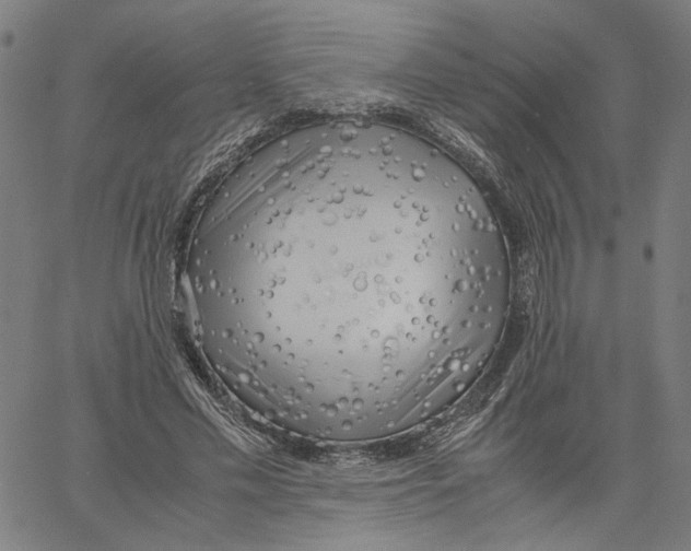 X0000061110589200512161416