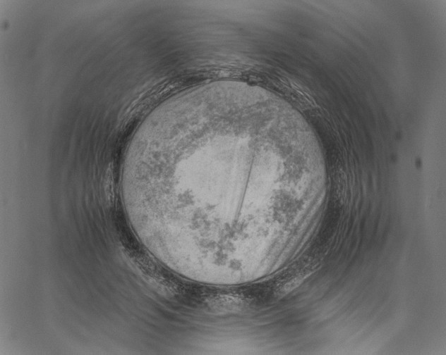 X0000061110594200512161415