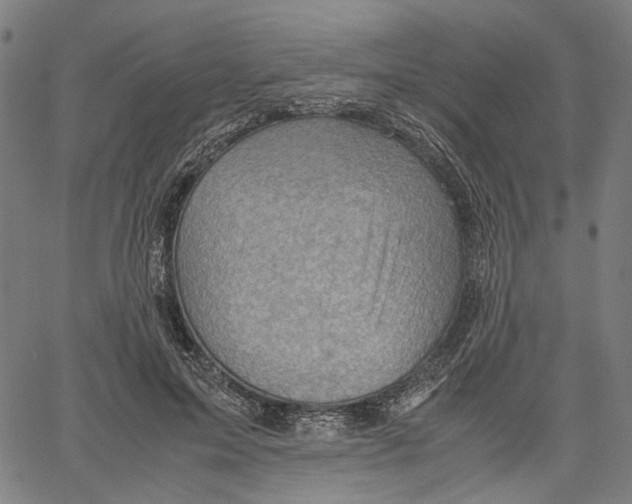 X0000061110599200512161415