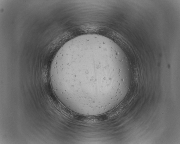 X0000061110604200512161415