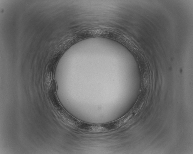 X0000061110605200512161415
