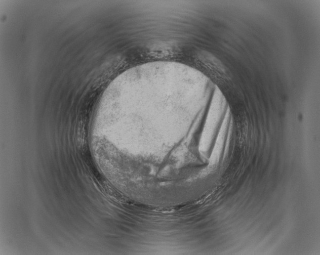 X0000061110606200512161415