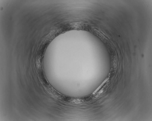 X0000061110611200512161415