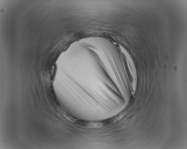 X0000061110617200512161415