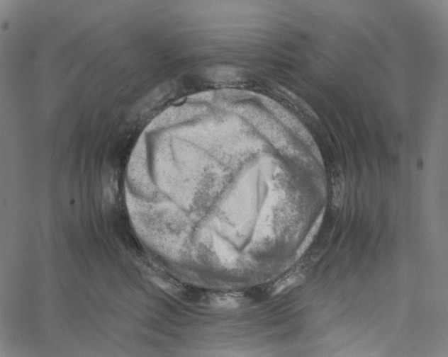 X0000061110618200512161415