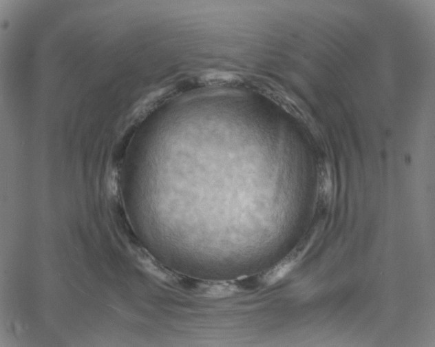 X0000061110621200512161415