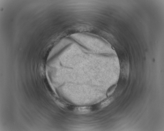 X0000061110622200512161415