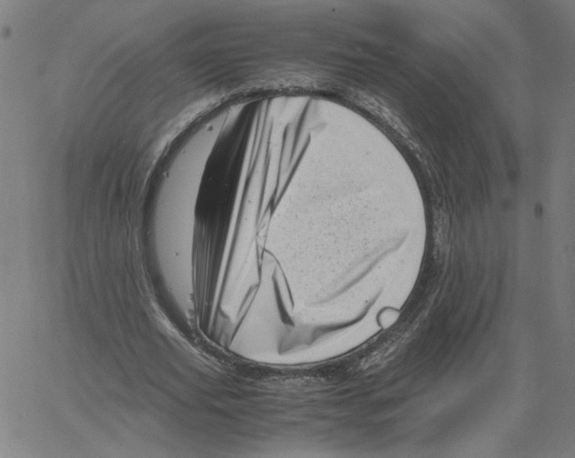 X0000061110629200512161414