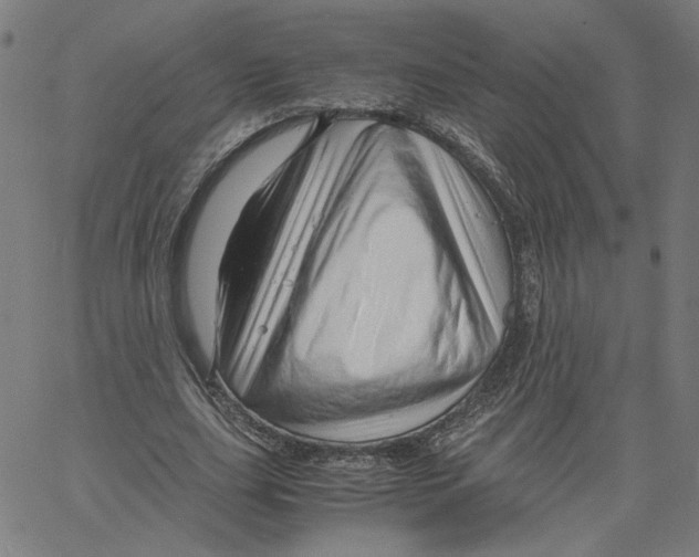 X0000061110631200512161414