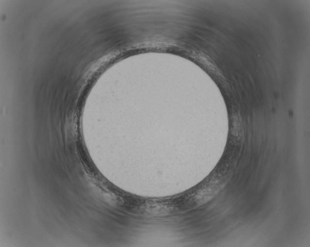 X0000061110632200512161414