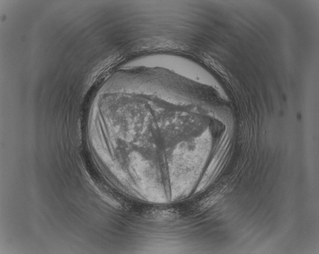X0000061110638200512161414