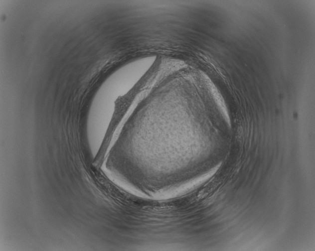 X0000061110643200512161414