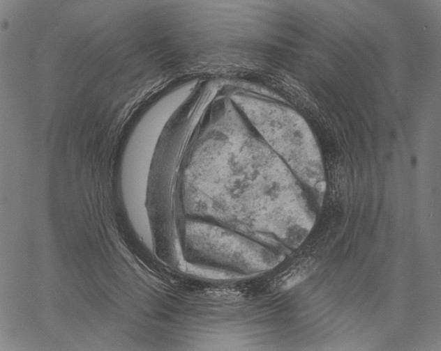 X0000061110644200512161414