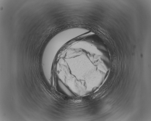 X0000061110651200512161415