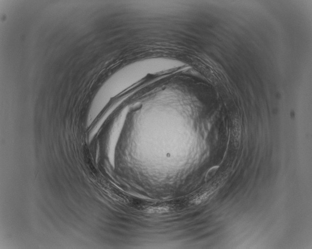 X0000061110653200512161415