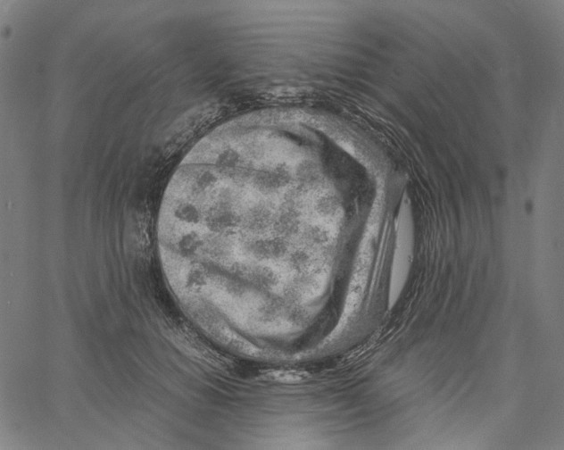 X0000061110654200512161415