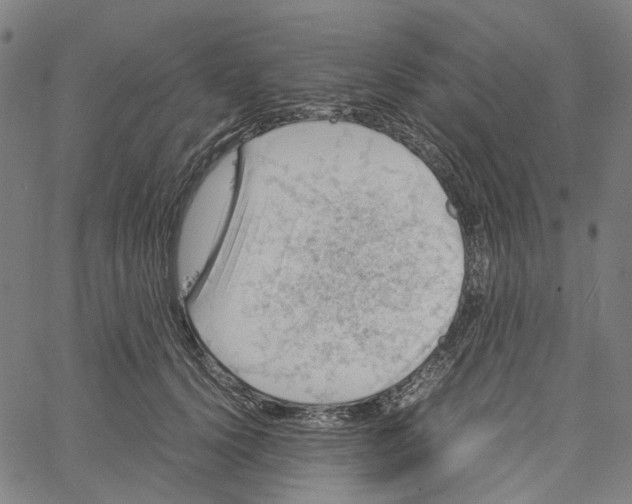 X0000061110656200512161415