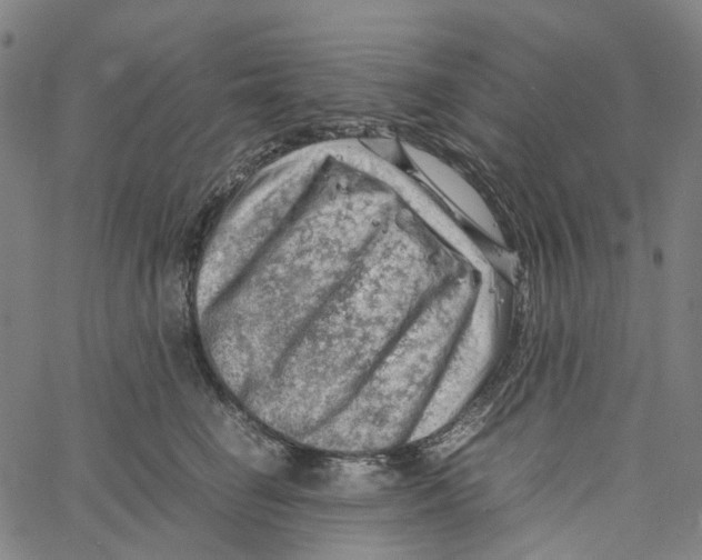 X0000061110662200512161415