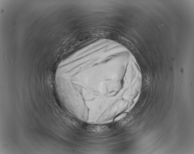 X0000061110663200512161415