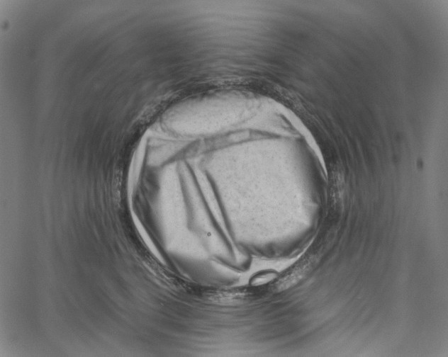 X0000061110664200512161415
