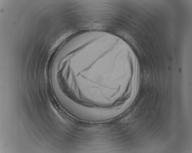 X0000061110674200512161414