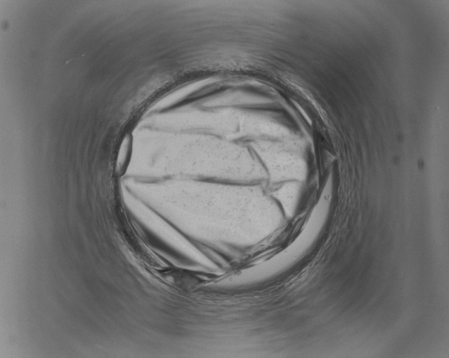 X0000061110677200512161414