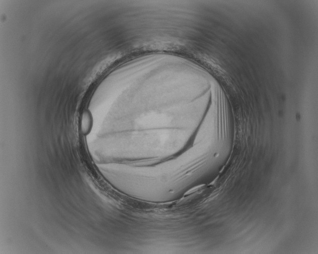 X0000061110678200512161414