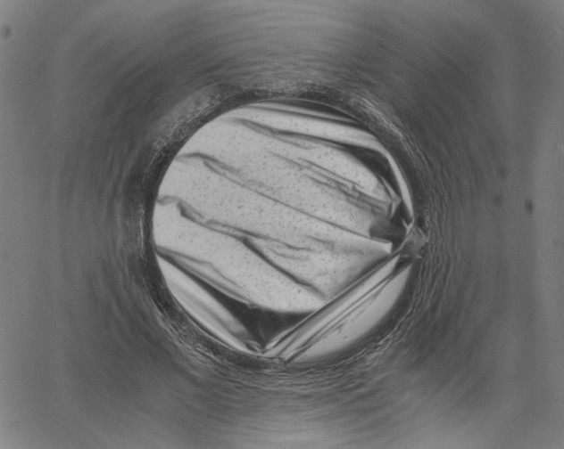 X0000061110685200512161414