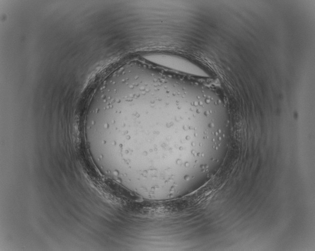 X0000061110688200512161414