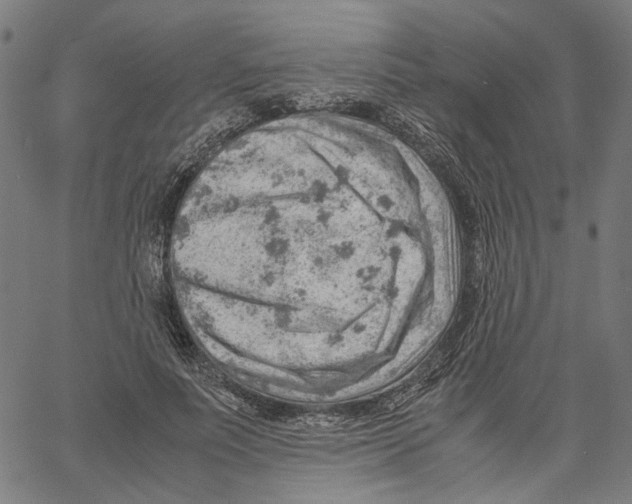 X0000061110691200512161414