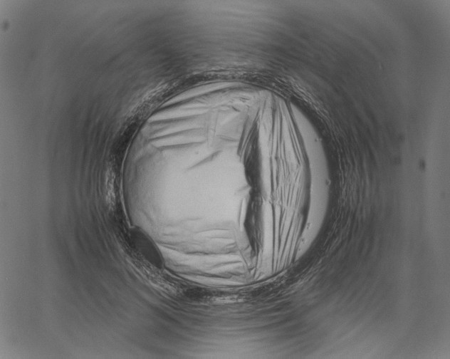 X0000061110692200512161414