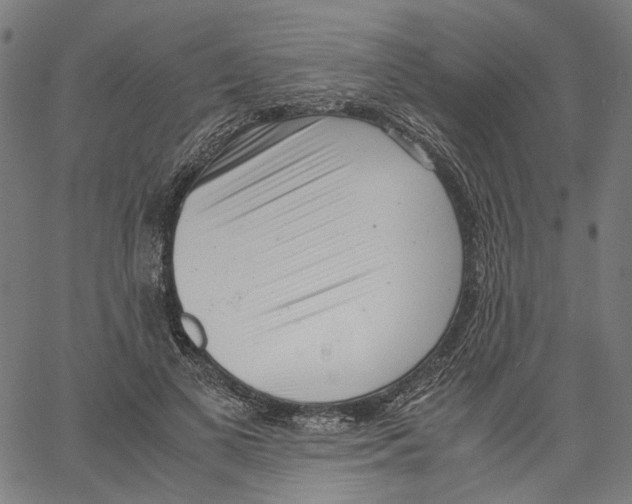 X0000061110693200512161414