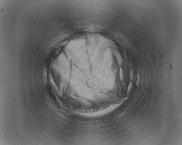 X0000061110696200512161414