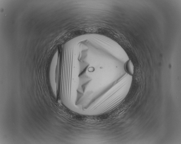 X0000061110697200512161414