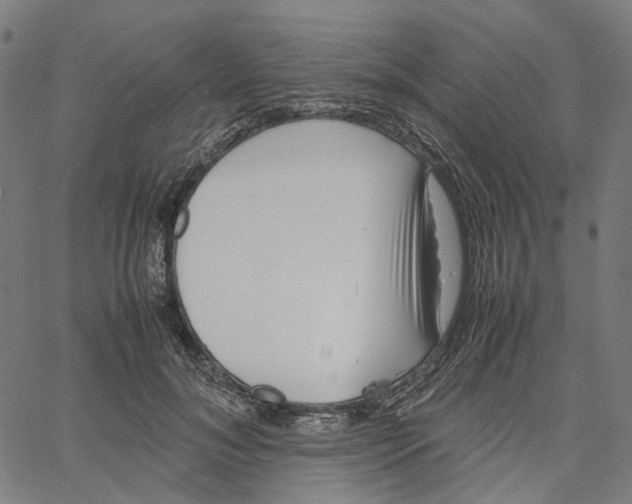 X0000061110700200512161414