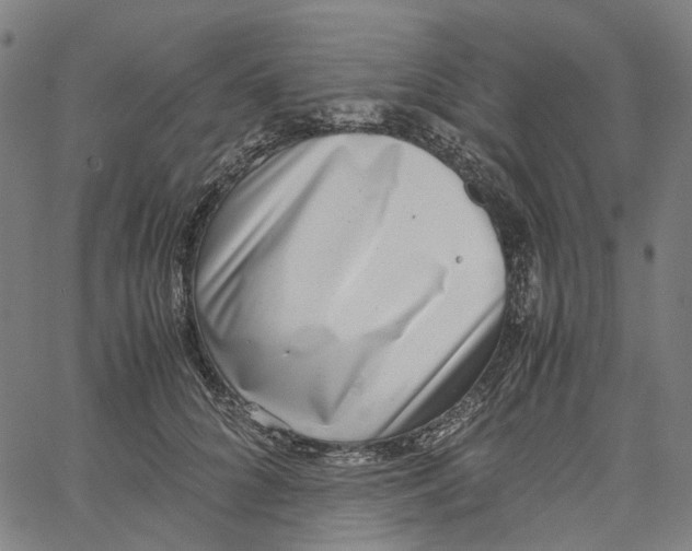 X0000061110704200512161414
