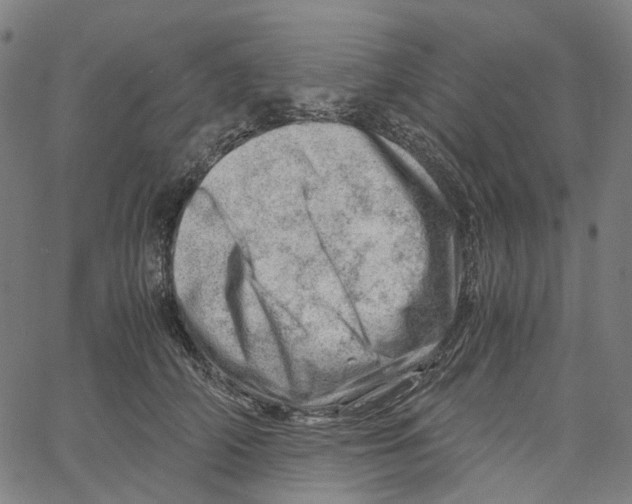 X0000061110706200512161414