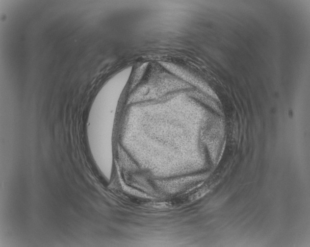 X0000061110711200512161414