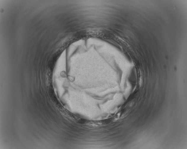 X0000061110712200512161413