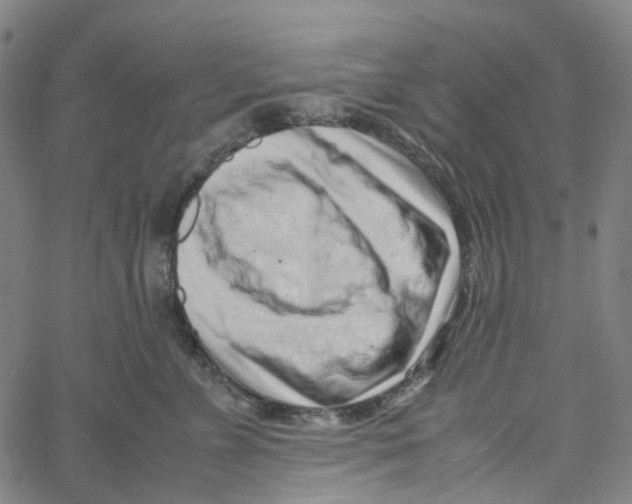 X0000061110715200512161413