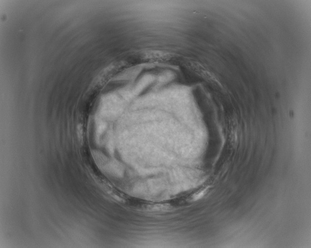 X0000061110716200512161413