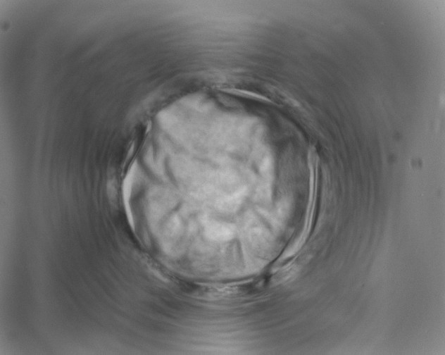 X0000061110720200512161413