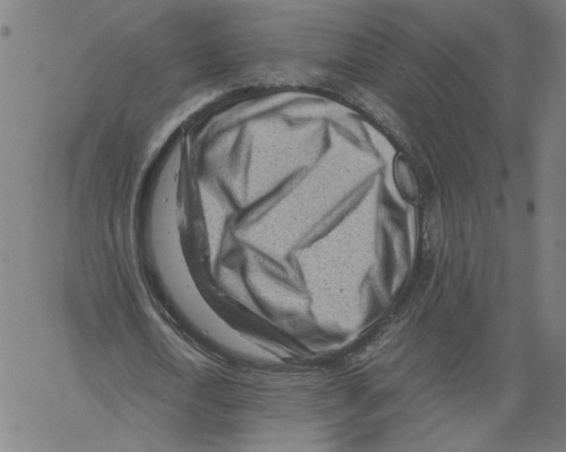 X0000061110722200512161413