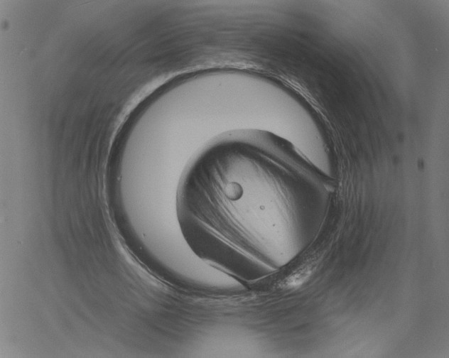 X0000061110726200512161413