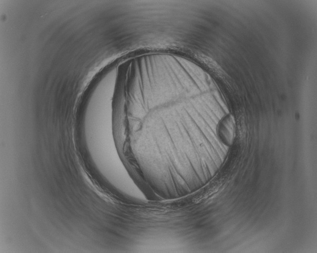 X0000061110728200512161413