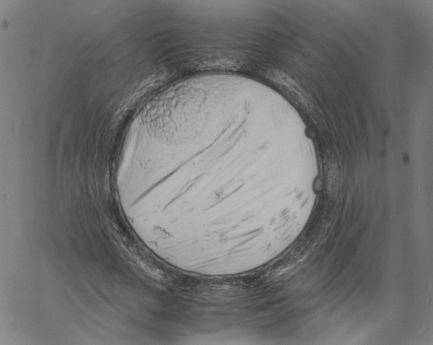X0000061110729200512161413