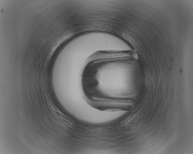 X0000061110731200512161413